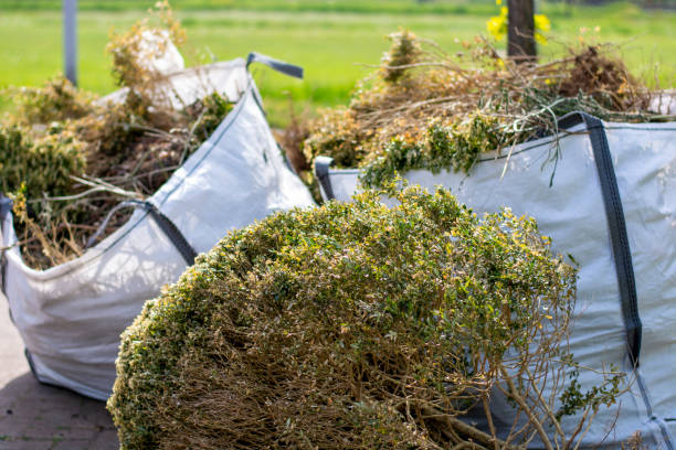 Best Appliance Removal Near Me  in Pce, LA